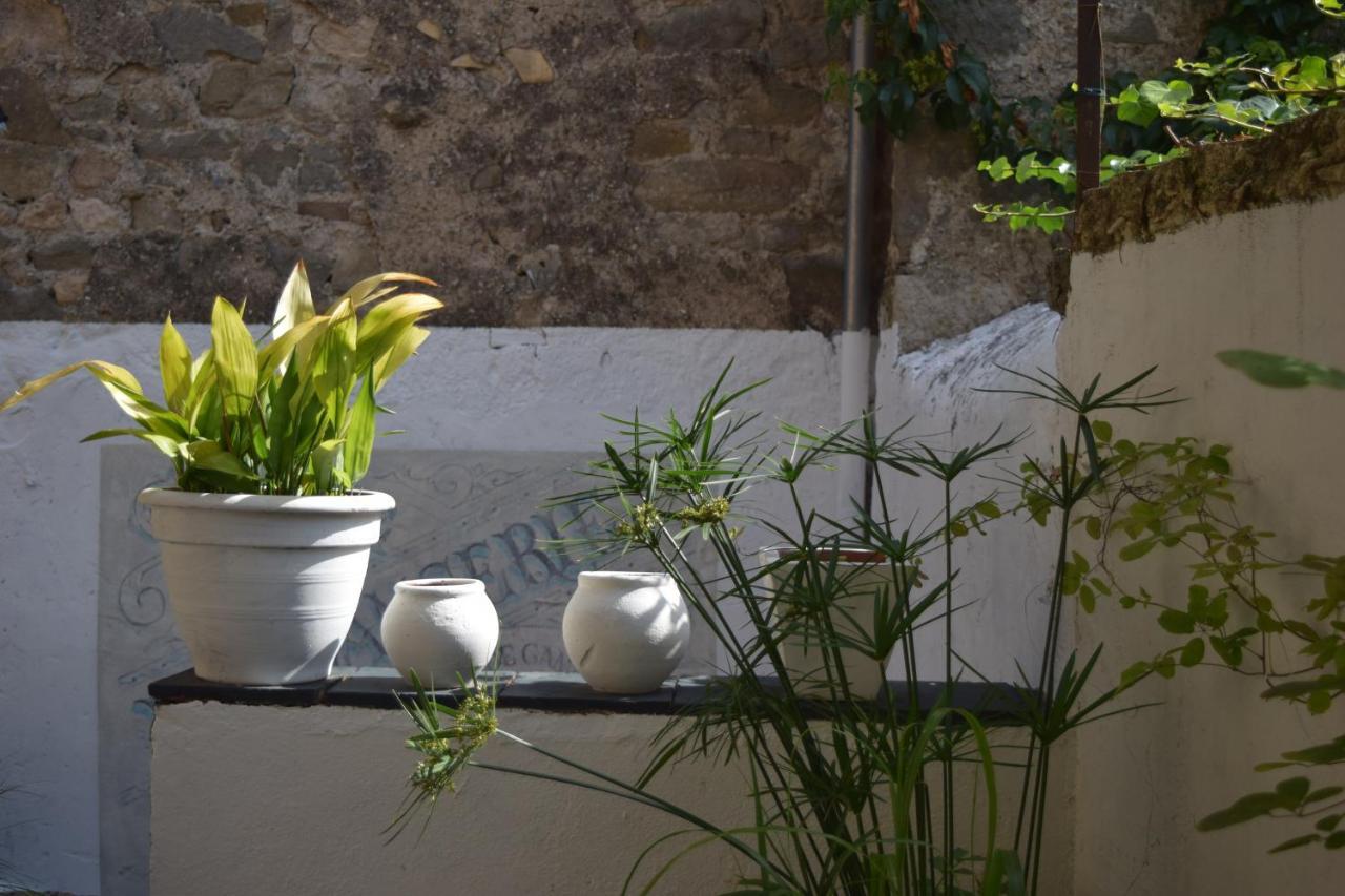 Bed and Breakfast L'Ancienne Boulangerie Caunes-Minervois Екстер'єр фото